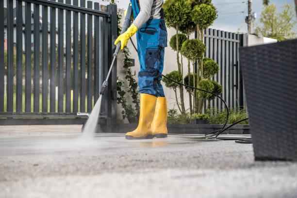 Best Roof Cleaning and Mildew Removal in Kemmerer, WY